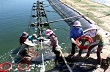 Nhiều sàn giao dịch hàng hóa đóng cửa hoặc tạm ngừng giao dịch